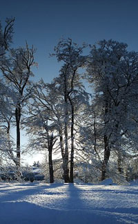 Winter in Dallas County