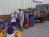 2010 Adel Sweet Corn Festival Shucking