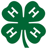 4h Logo