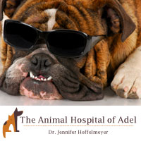 The Animal Hospital of Adel