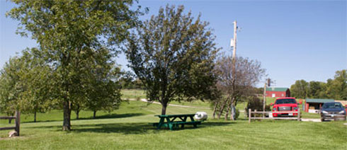 Wills Family Orchard