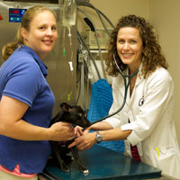 Adel Veterinary Clinic