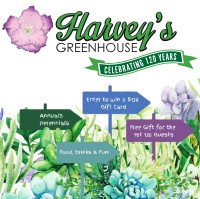 Harvey's Greenhouse Celebrates 120 years 