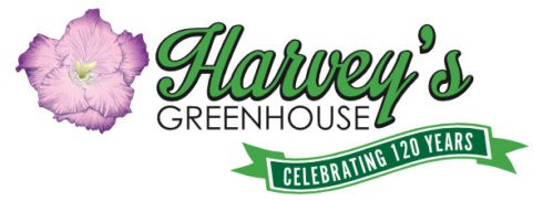 Harveys 120 Year Logo