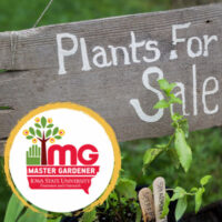Master Gardener Plant Sale