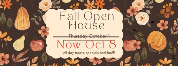 Azalea Lane Boutique